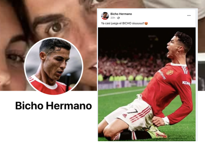 7-Bicho Hermano - Fake FB Users I
